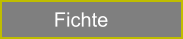 Fichte